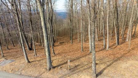 Lot 150 Withrow Landing The Retreat On White Rock Mtn