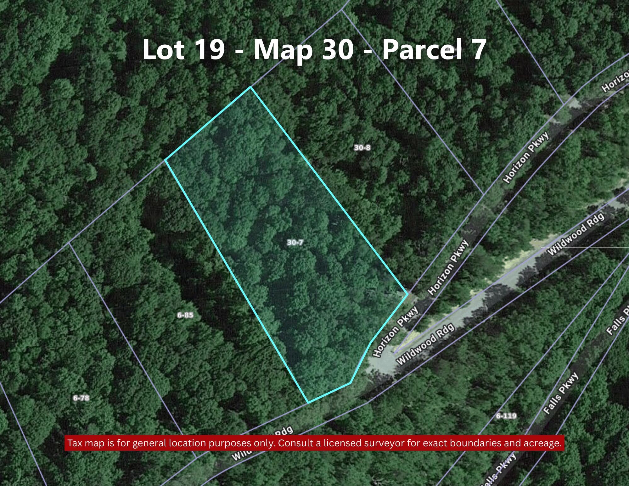 Image 4: lot 19