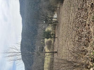 Hillside Bluffs