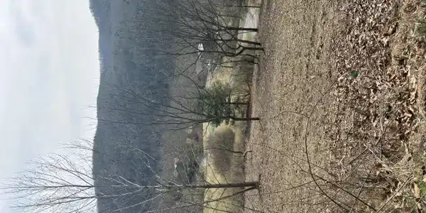 Hillside Bluffs