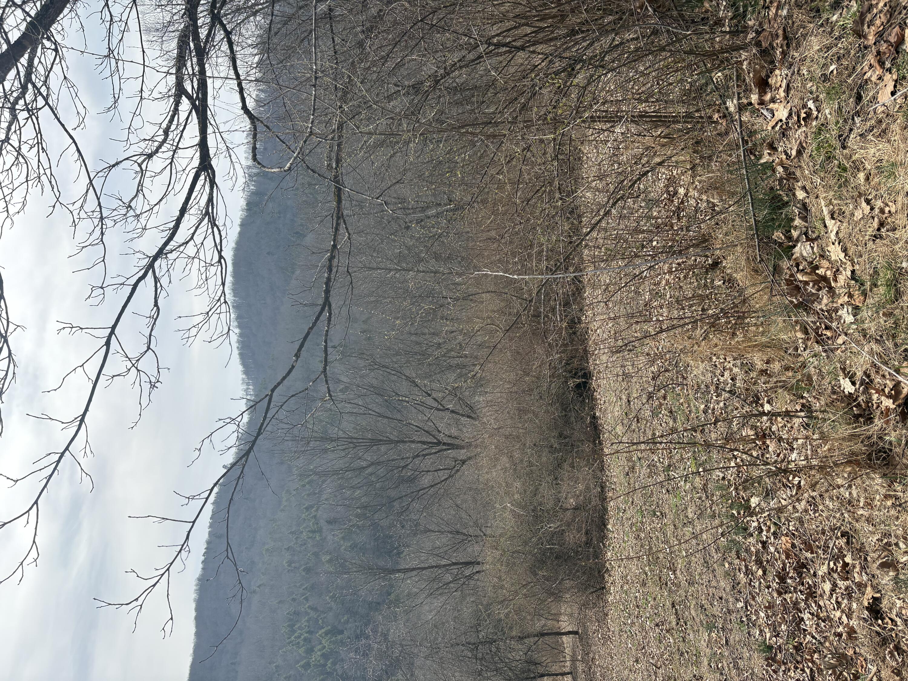 Image 2: IMG_5327