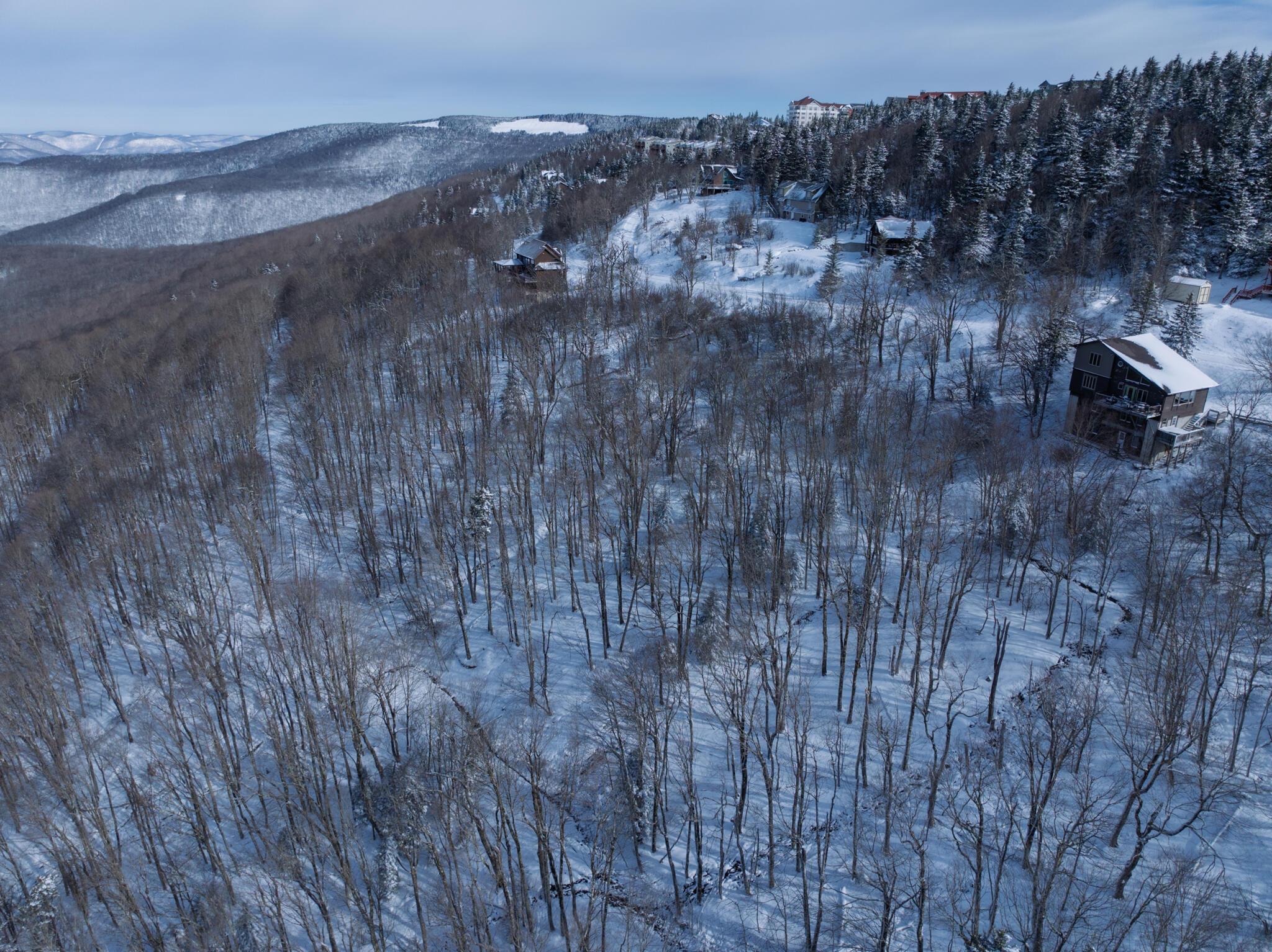 Image 2: Minutes From Village