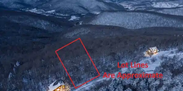 Image 3: Lot 65 1 Acre
