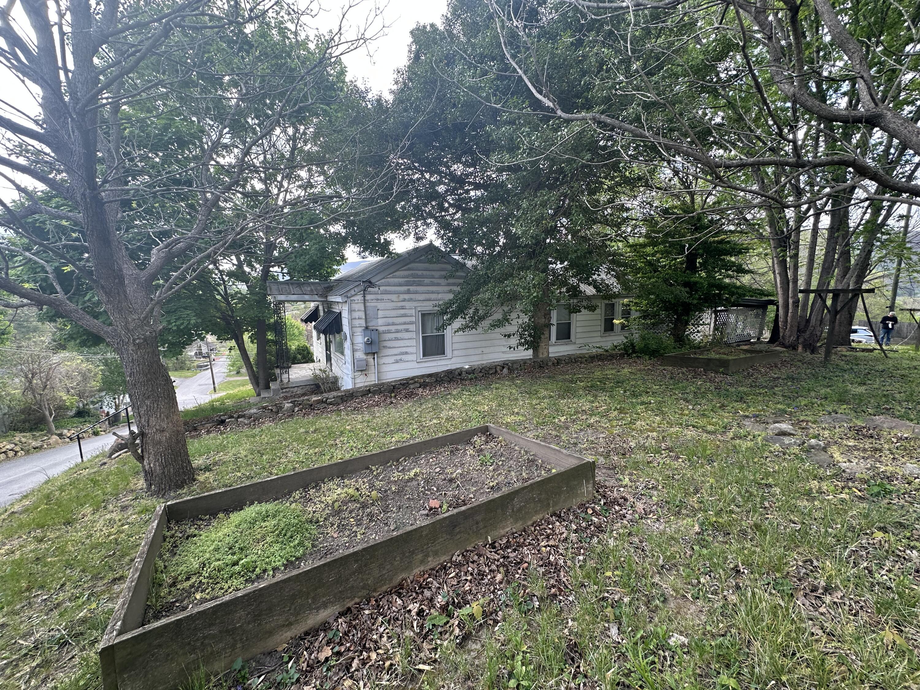 Image 2: IMG_3580