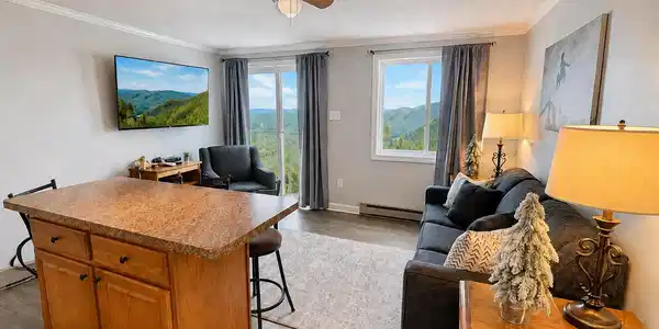 Image 2: Living Room