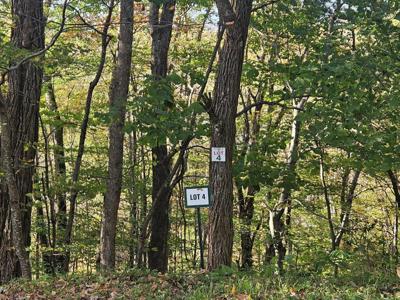 Lot 4 Hideaway