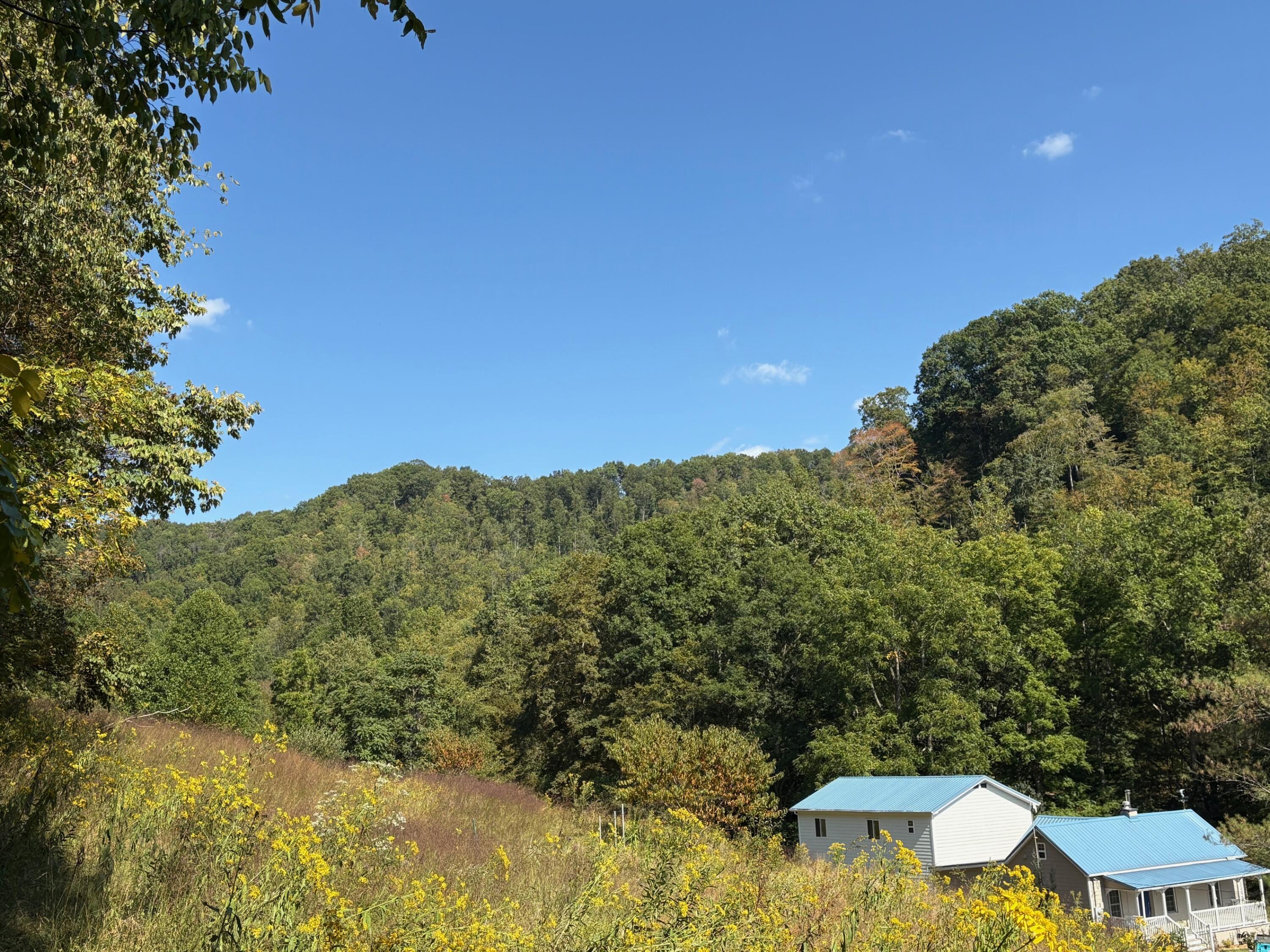 Image 3: IMG_2856