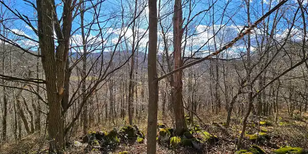 27 Acres Big Spring Elk