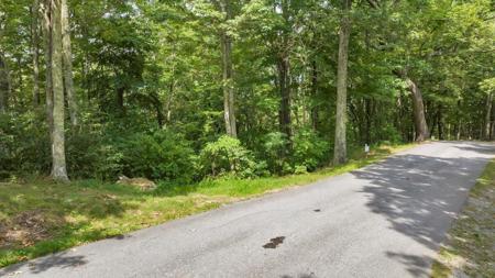 Lot 17 Wildwood Ridge