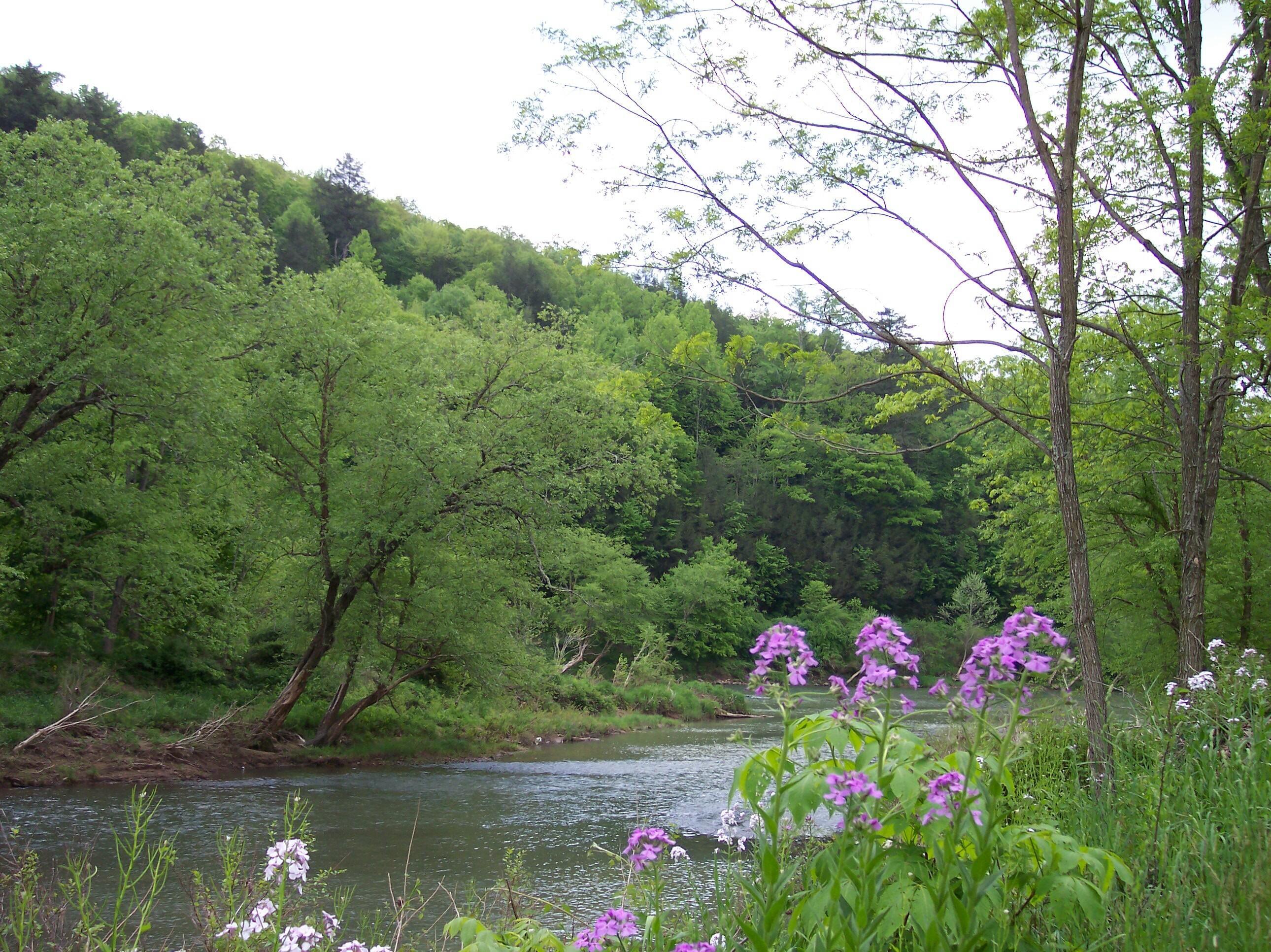 Image 2: dlriverview2