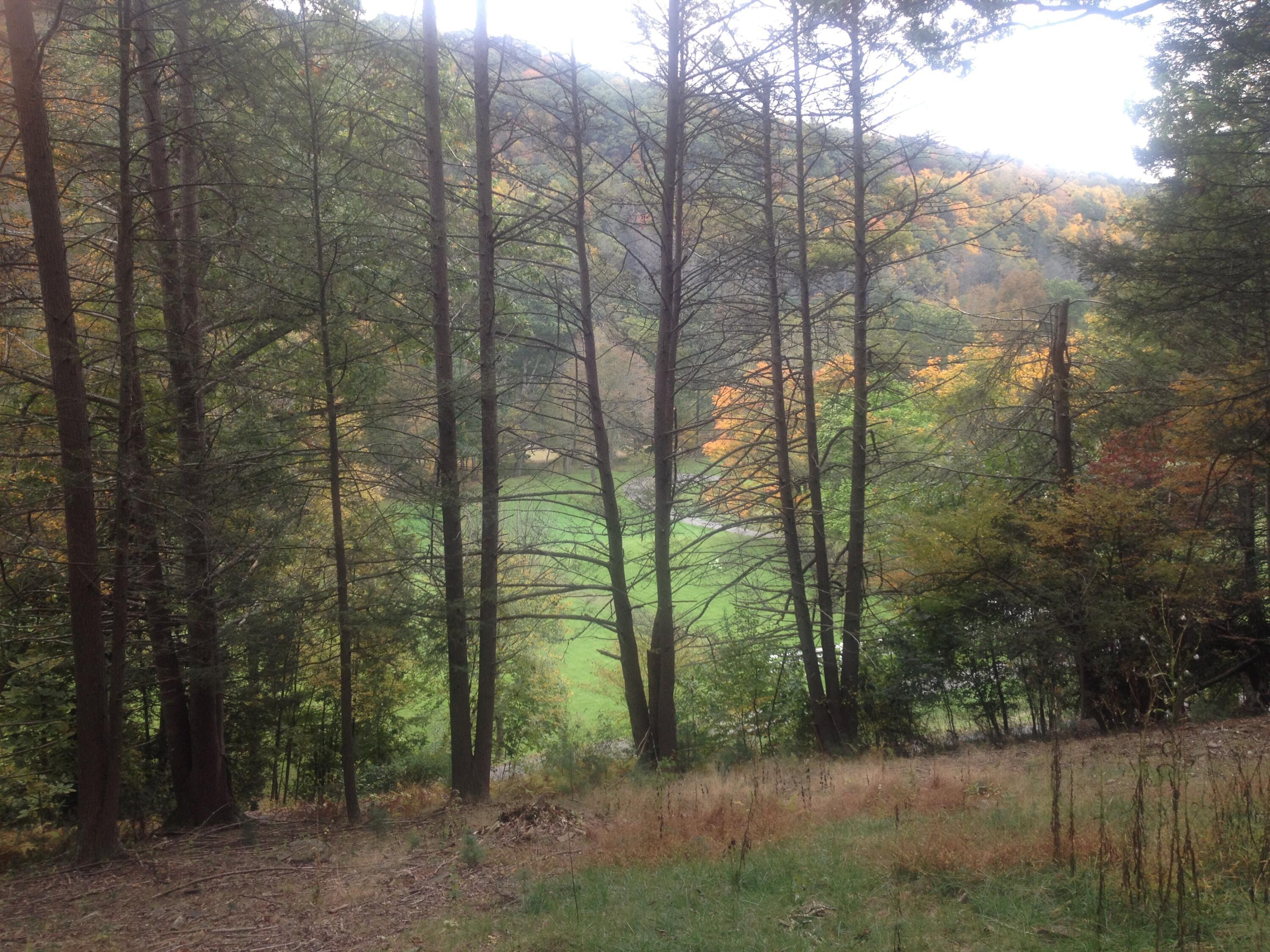 Image 3: DL 4+ Acres
