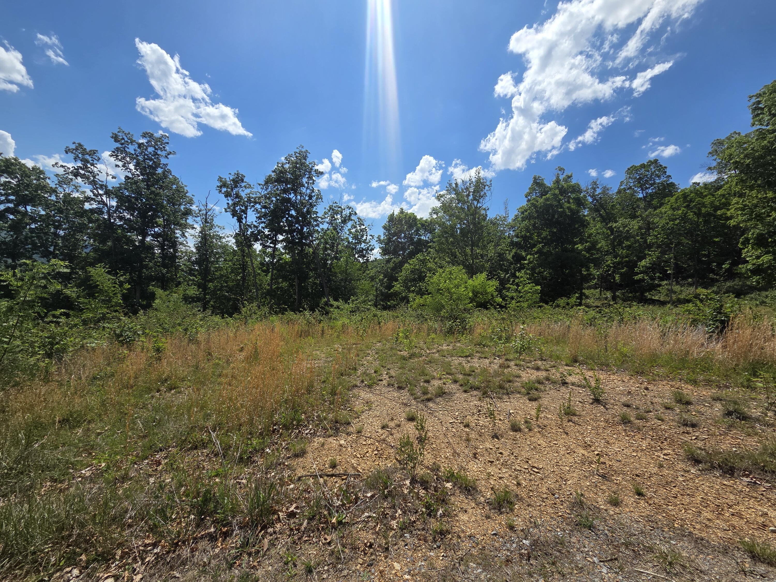 Image 2: 20260519_150838