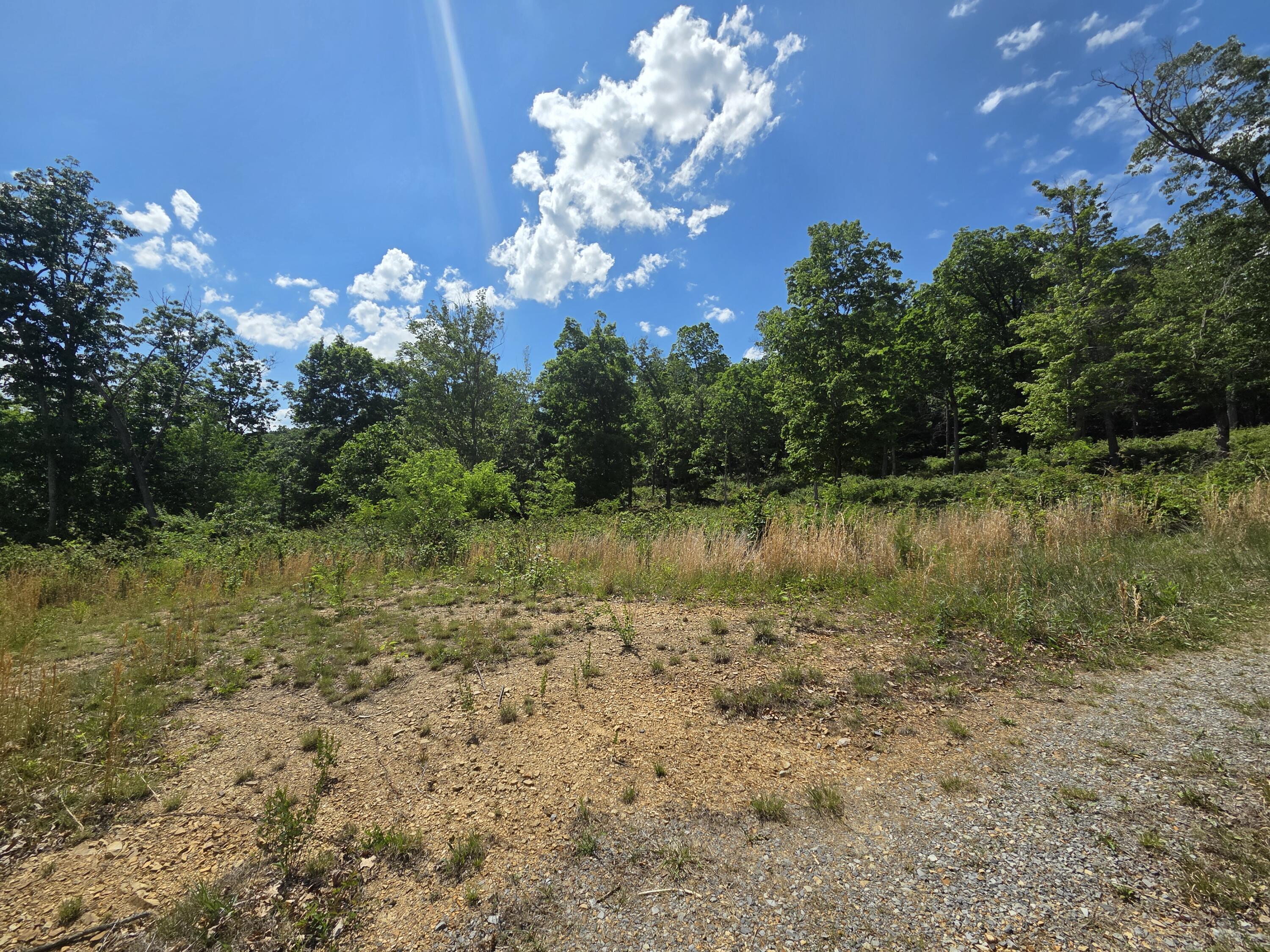 Image 3: 20260519_150842