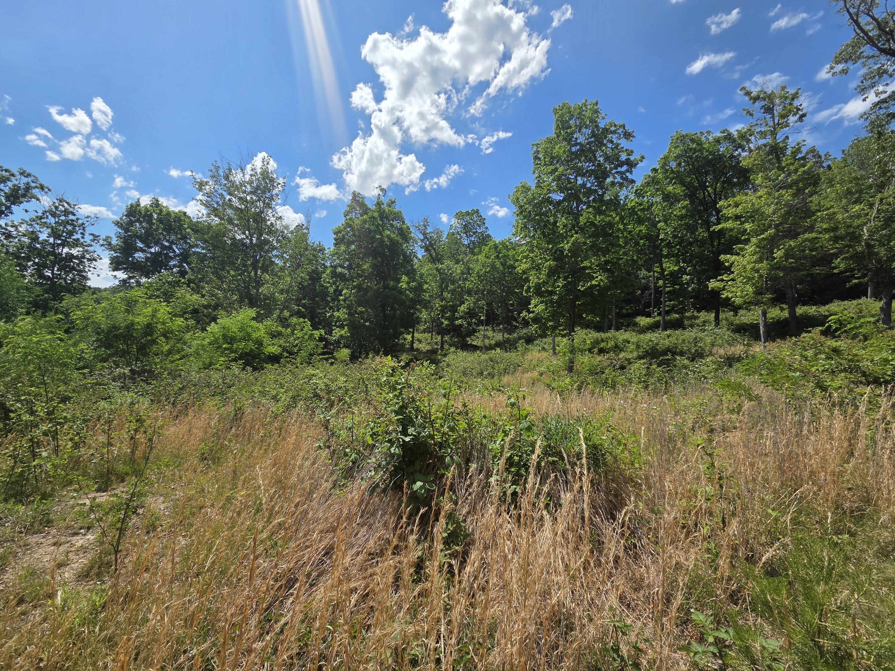 Image 4: 20260519_150855