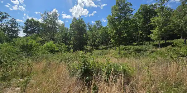Image 4: 20260519_150855
