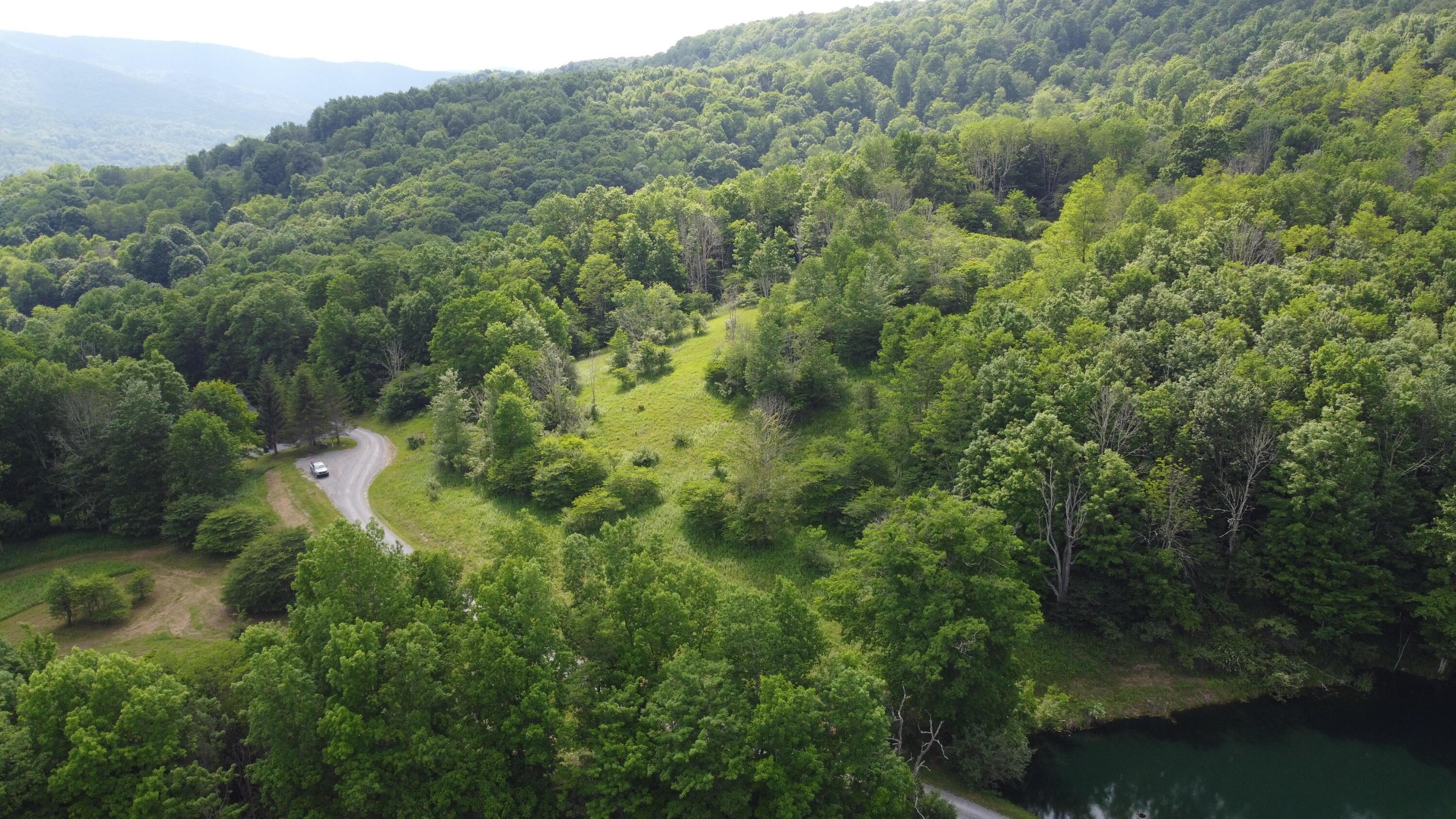 Image 4: DJI_0702