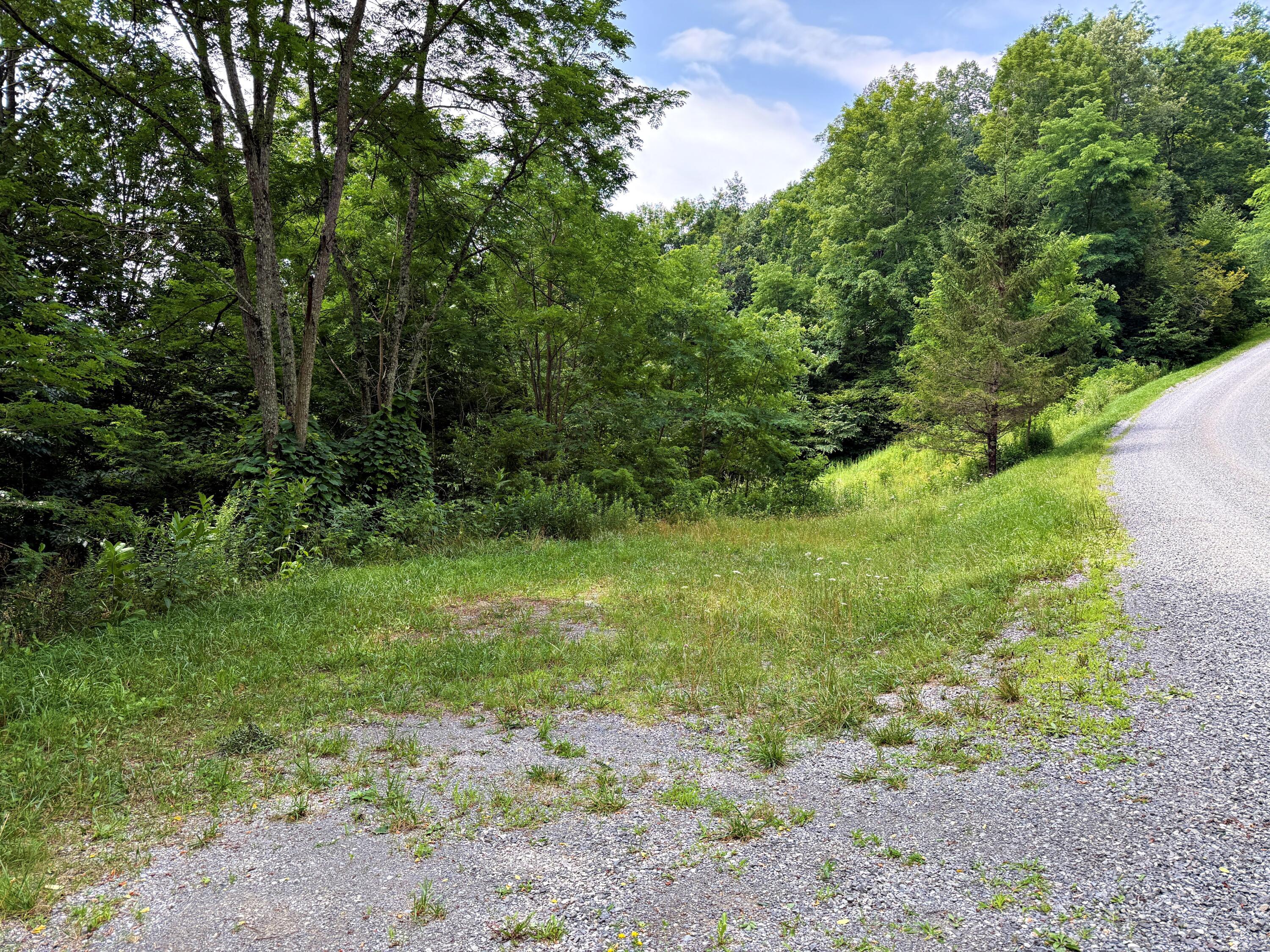 Image 3: driveway