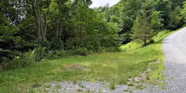 Image 3: driveway