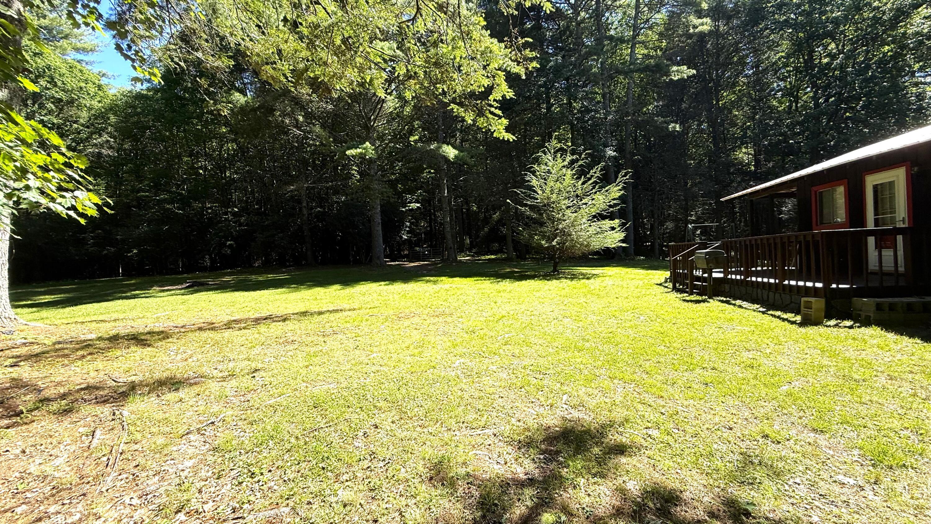 Image 3: IMG_0954 (002)