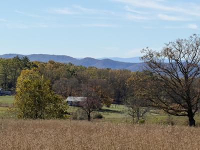 4242 Muddy Creek Mountain Rd