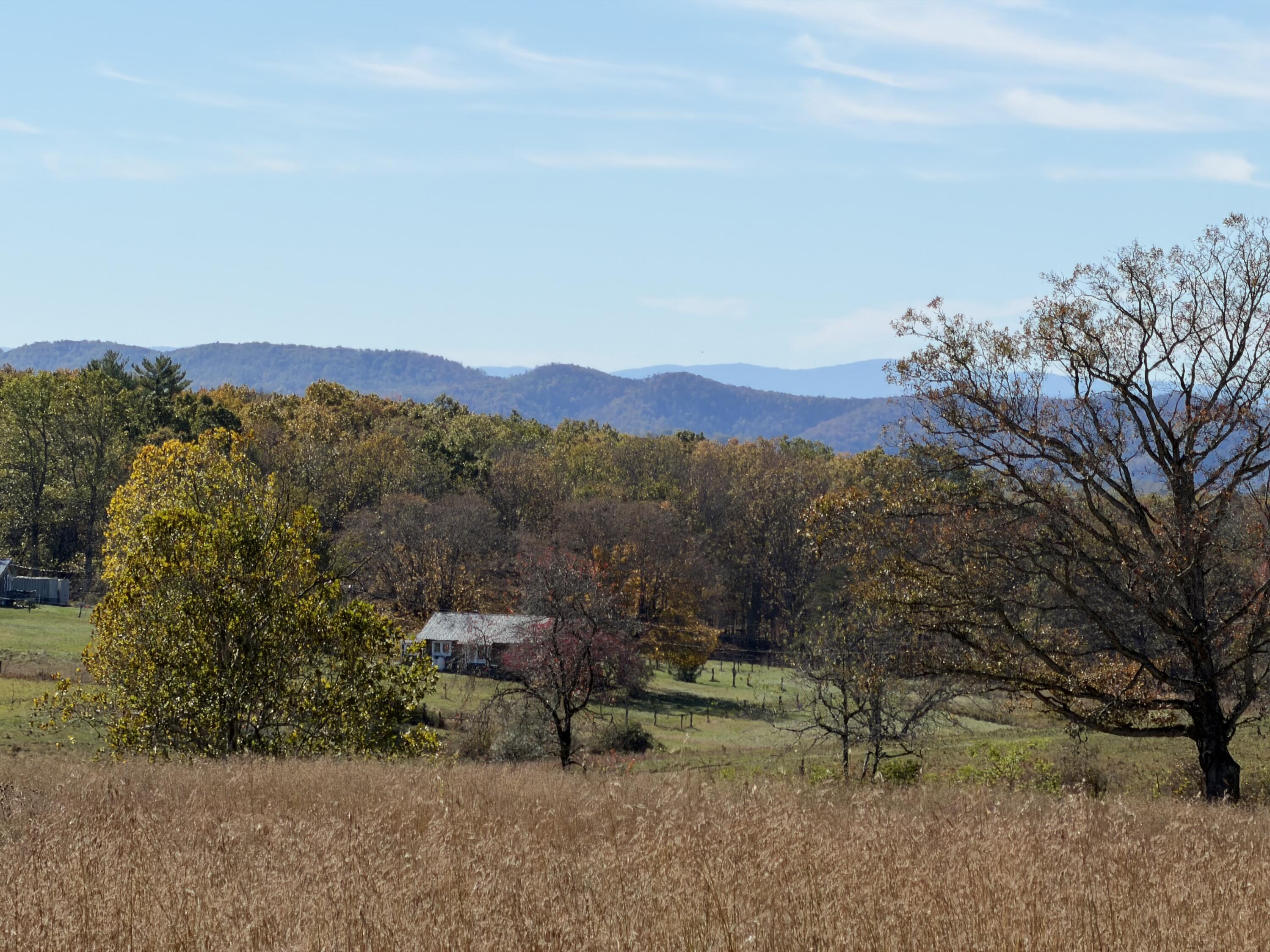 Image 1: Fields