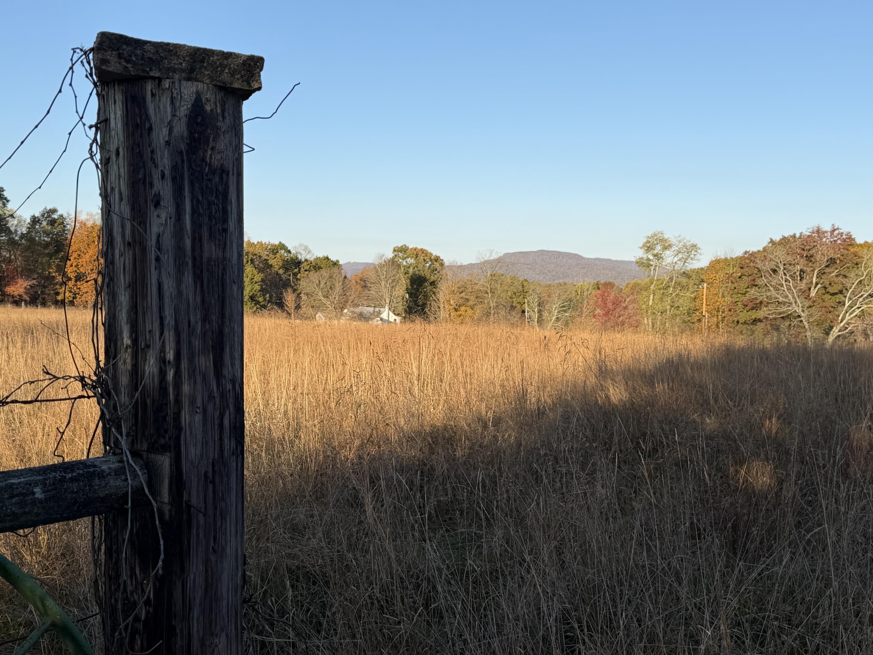 Image 2: Fields