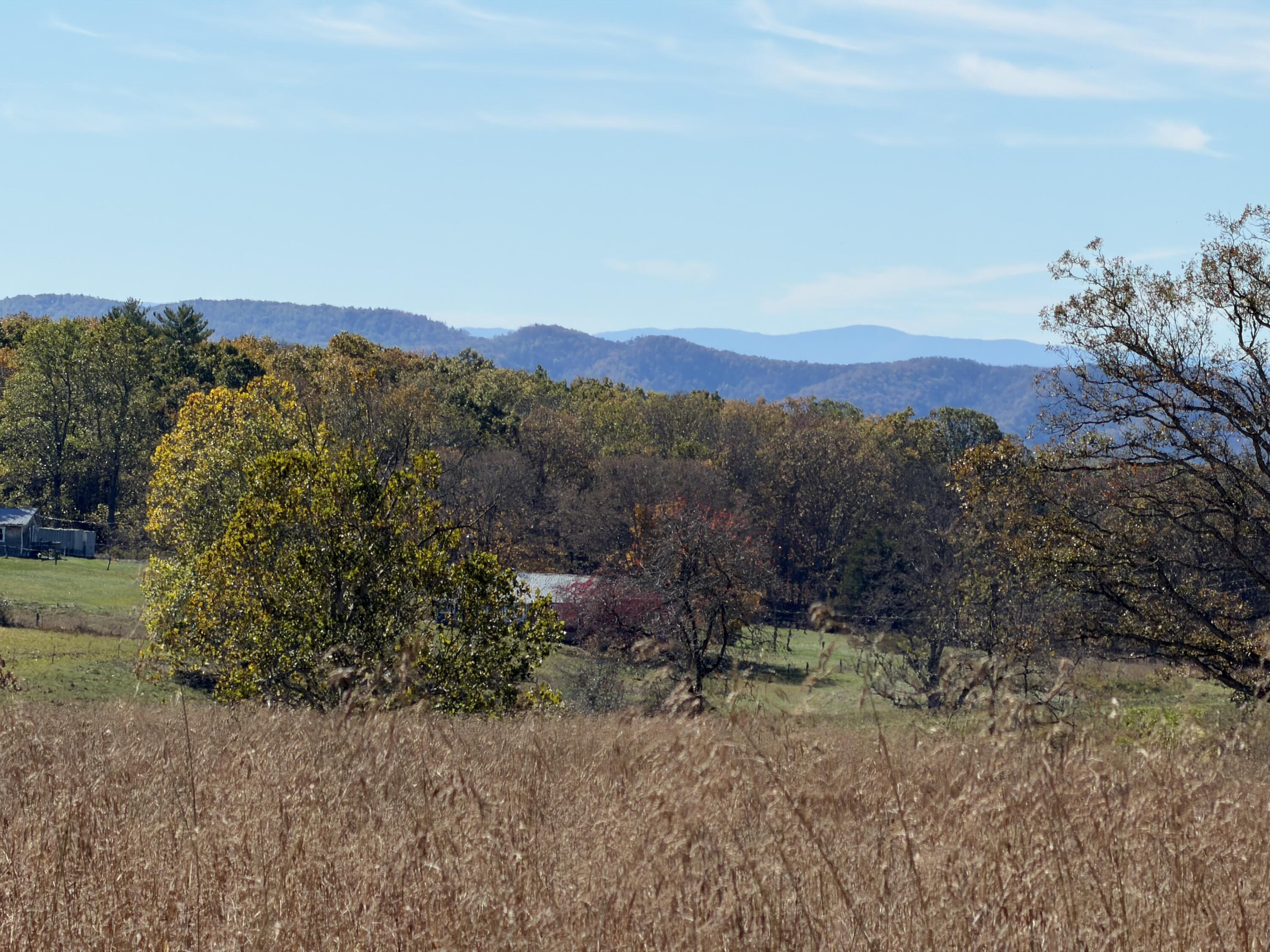 Image 3: Field