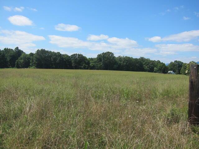 Image 4: Fields