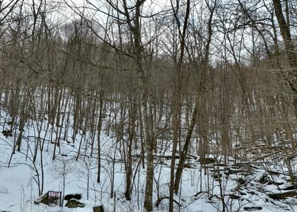 Lot D2 Gobblers Lane