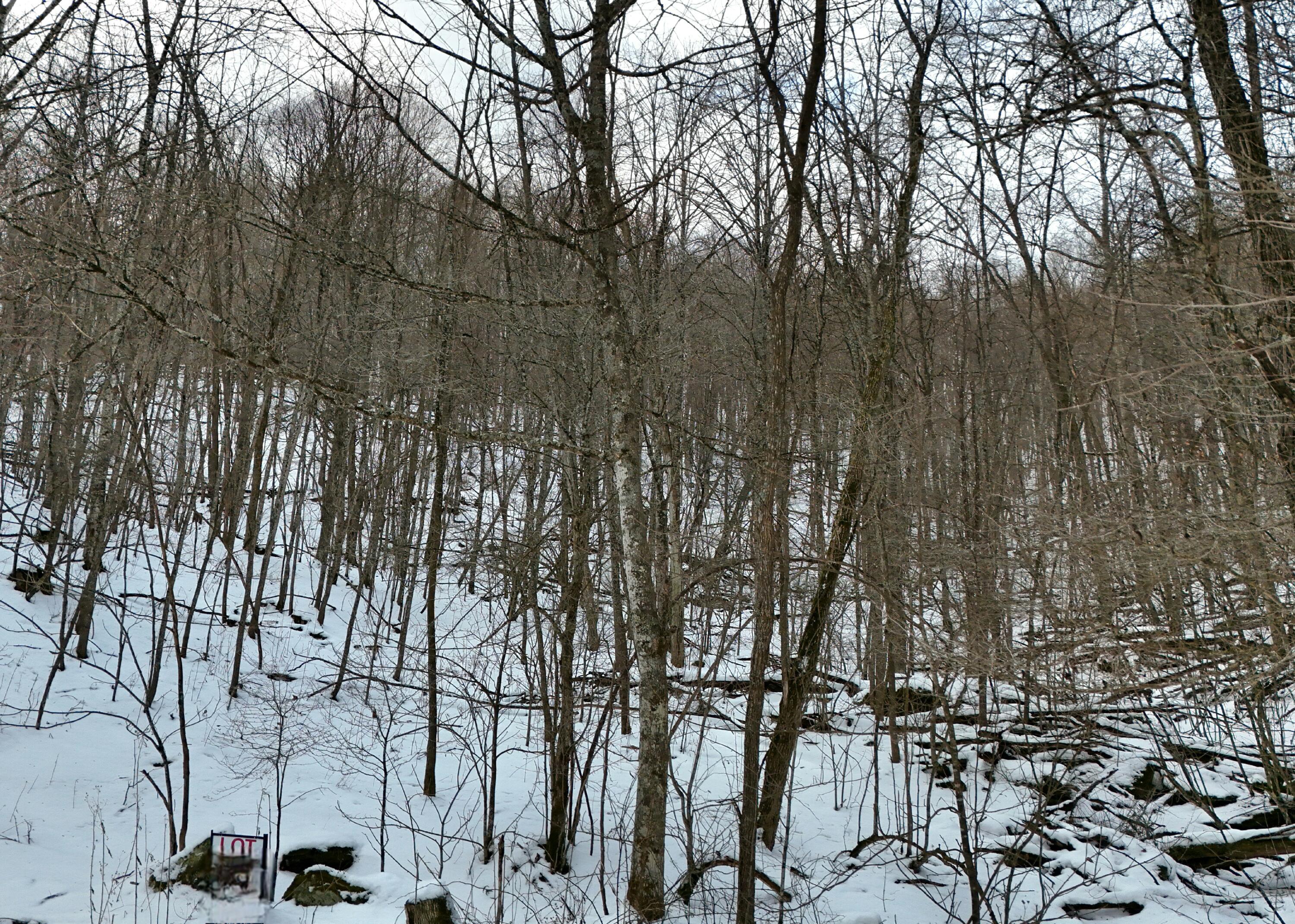Image 1: DJI_20251217090352_0001_D