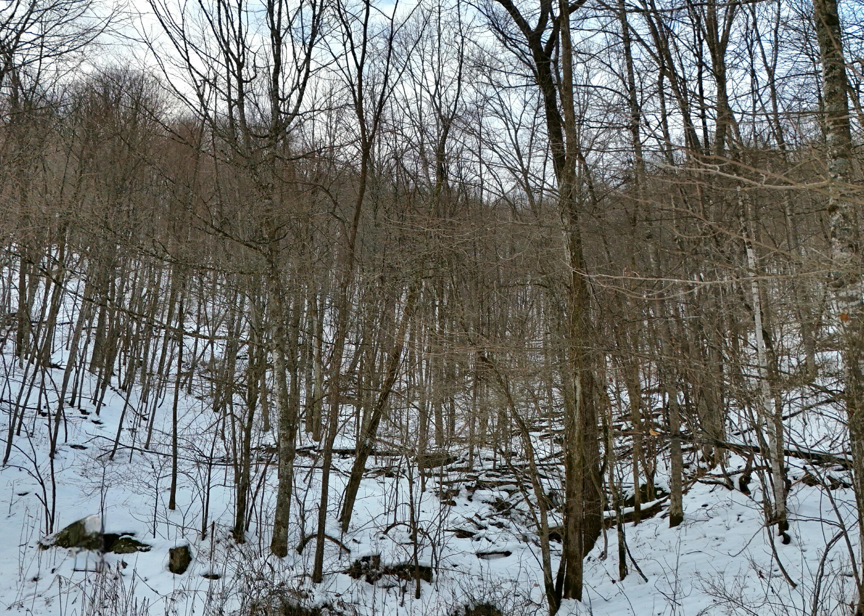 Image 2: DJI_20251217090407_0002_D