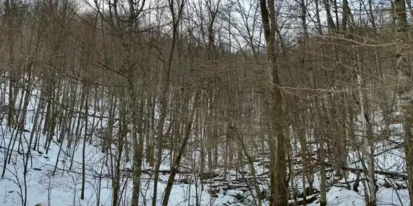 Image 2: DJI_20251217090407_0002_D