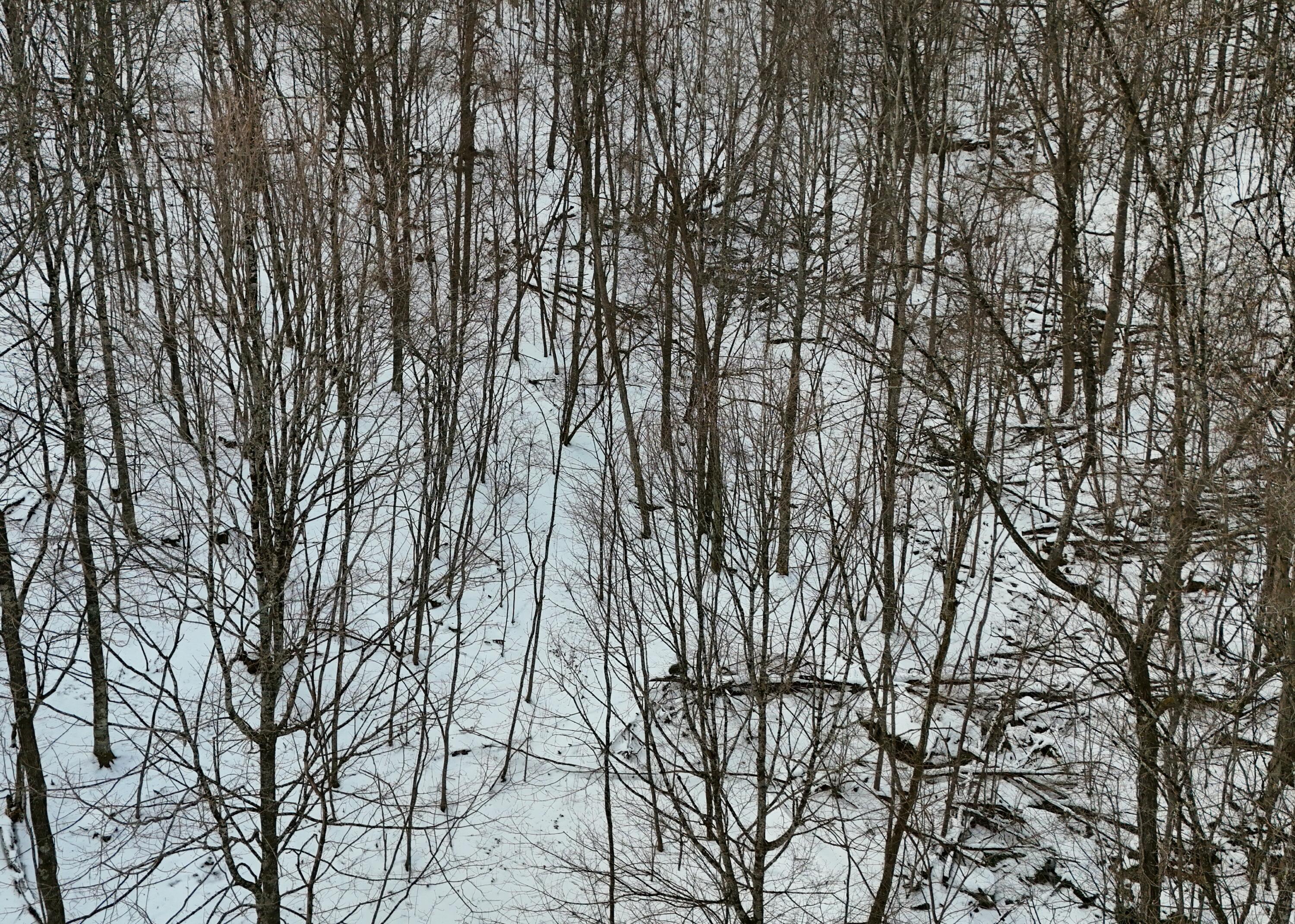 Image 3: DJI_20251217090450_0004_D