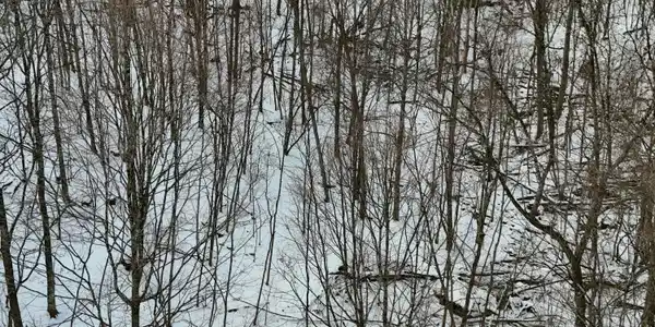 Image 3: DJI_20251217090450_0004_D