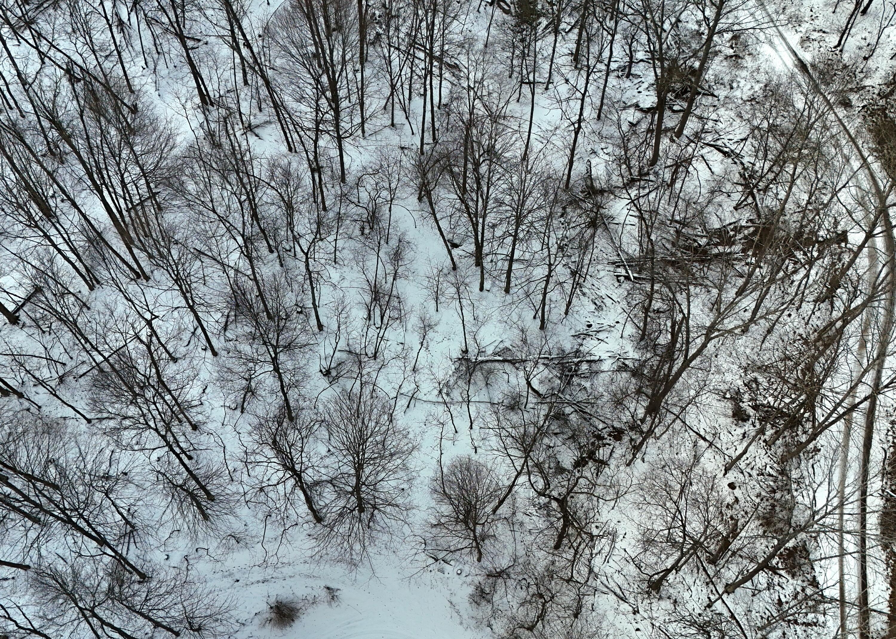 Image 4: DJI_20251217090555_0008_D