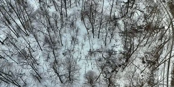 Image 4: DJI_20251217090555_0008_D