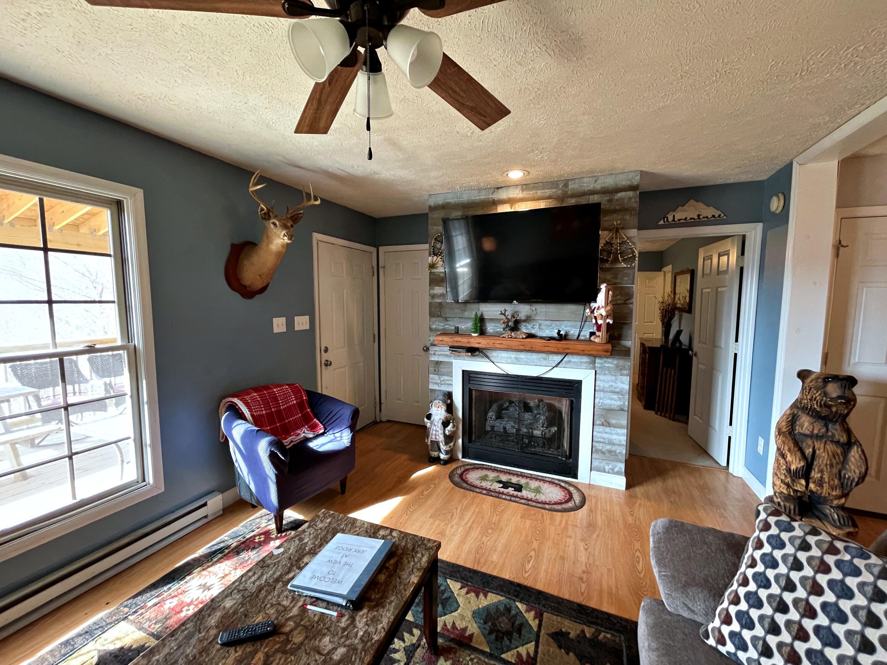 Image 4: fireplace