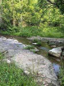 Ellison Ridge Rd