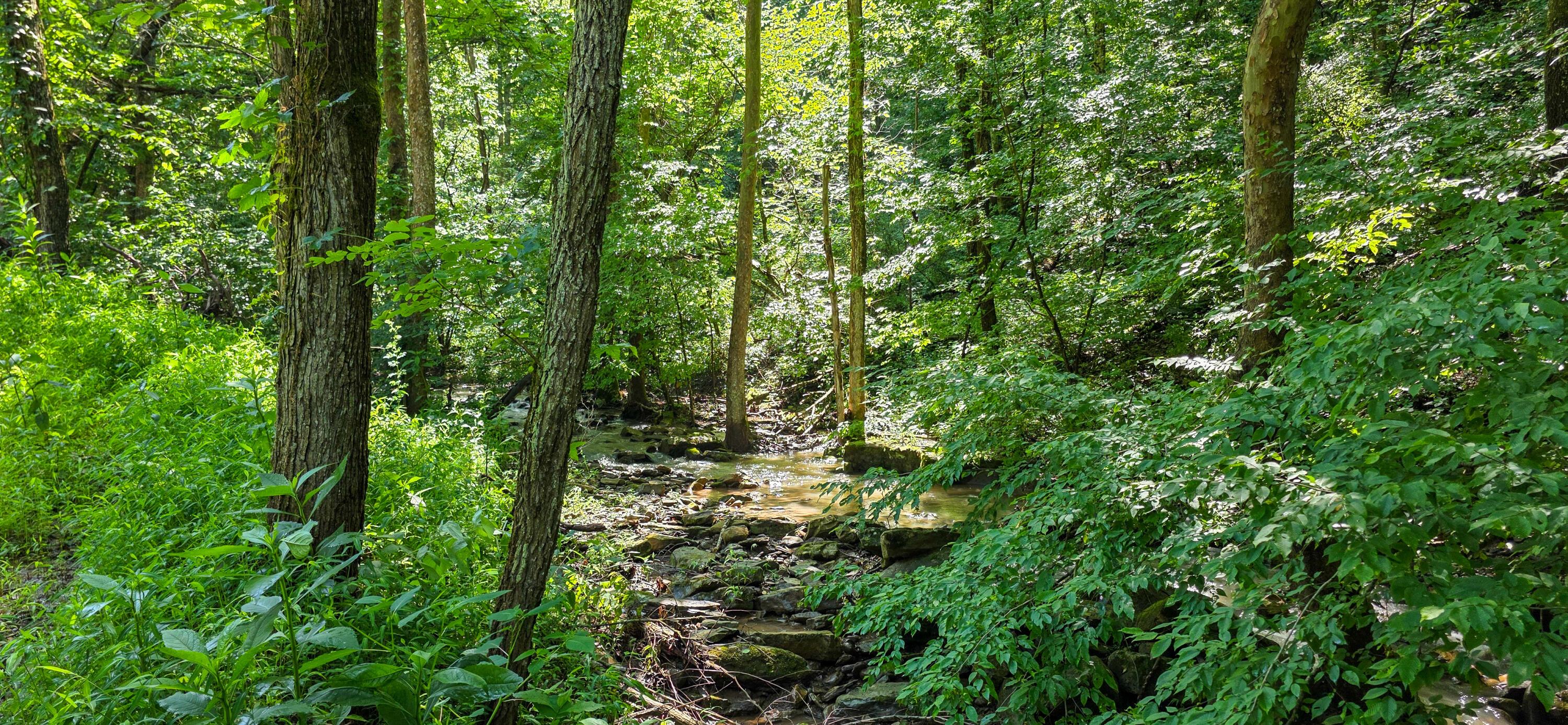 Image 2: A-01