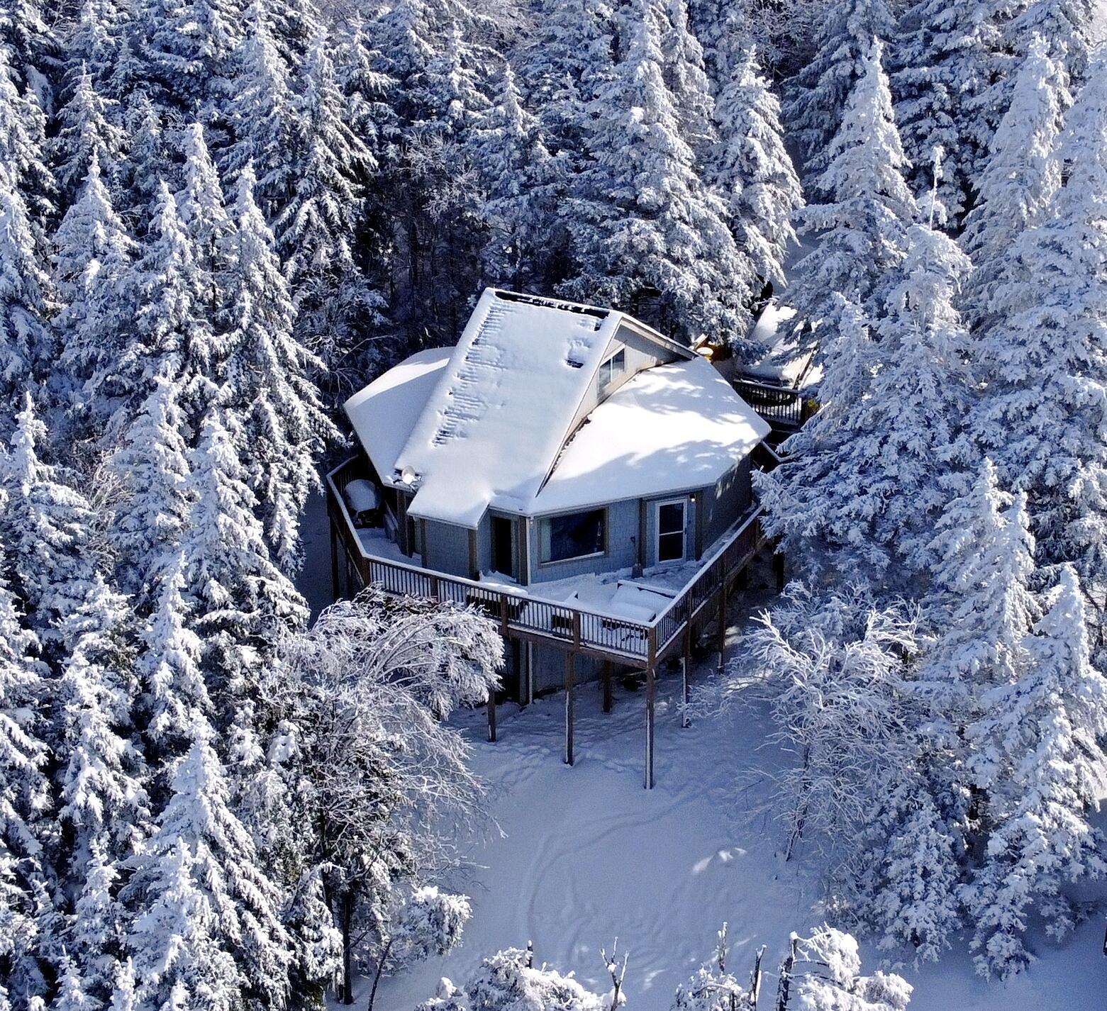 Image 3: hutch 2-4-2026