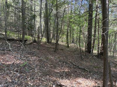 Lot 15 Pocahontas Trail