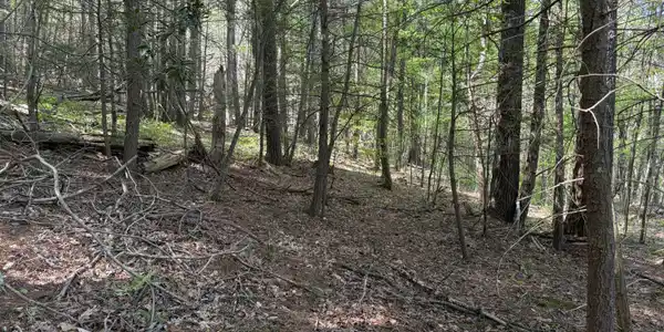 Lot 15 Pocahontas Trail