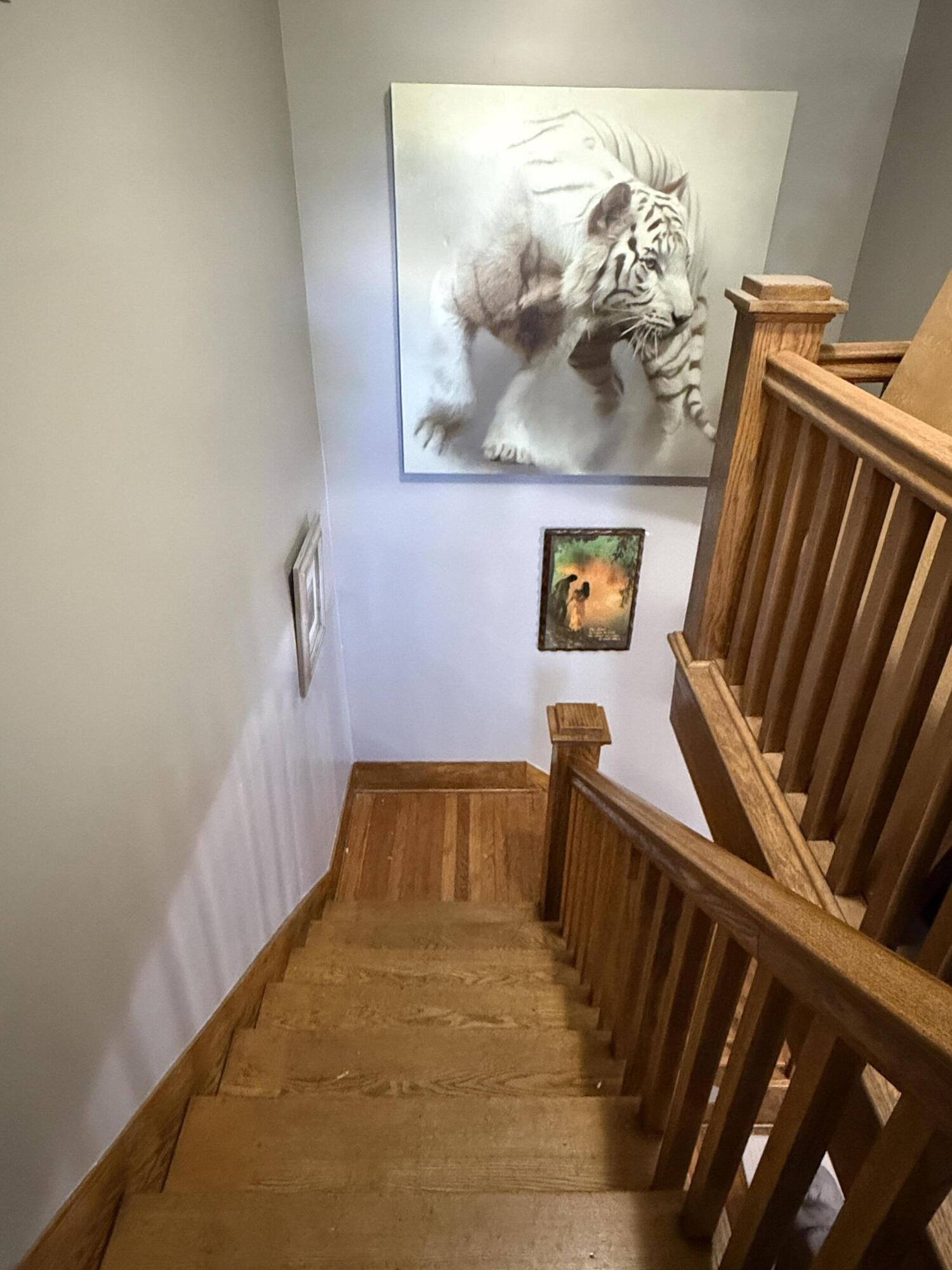 Image 3: IMG_7483