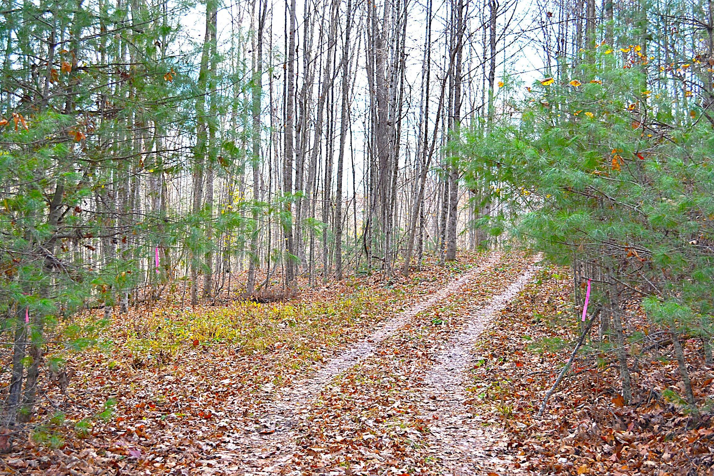 Image 1: Property Entrance