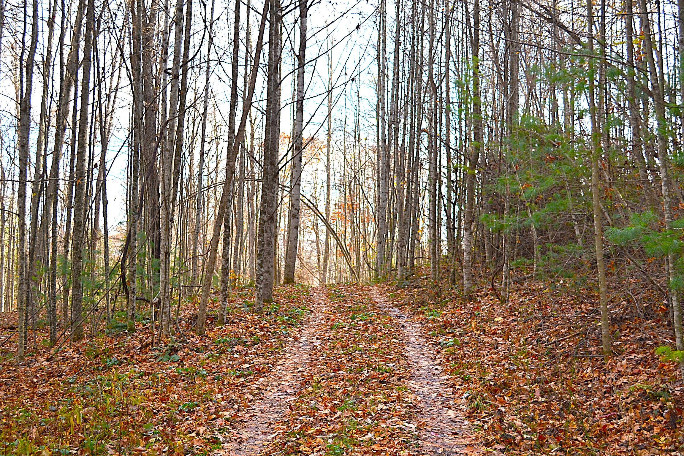 Image 3: Nice Trails!