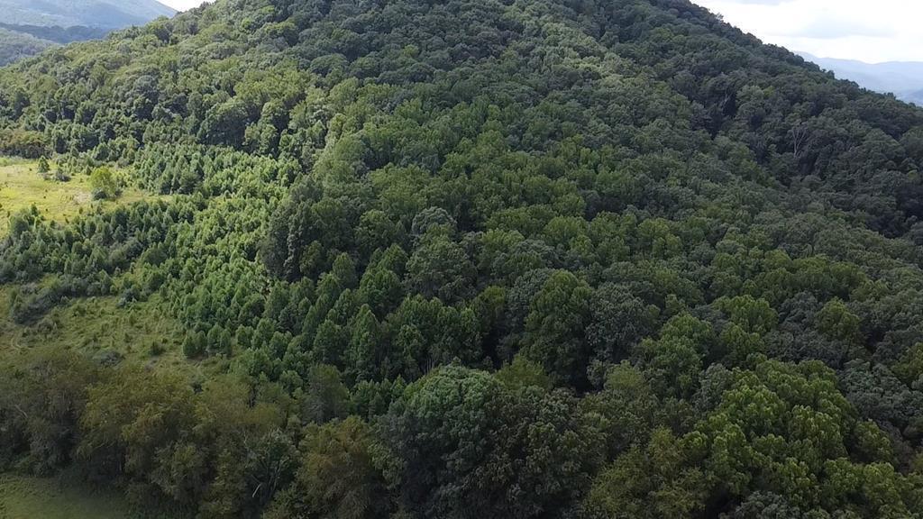 Image 2: 52406_0