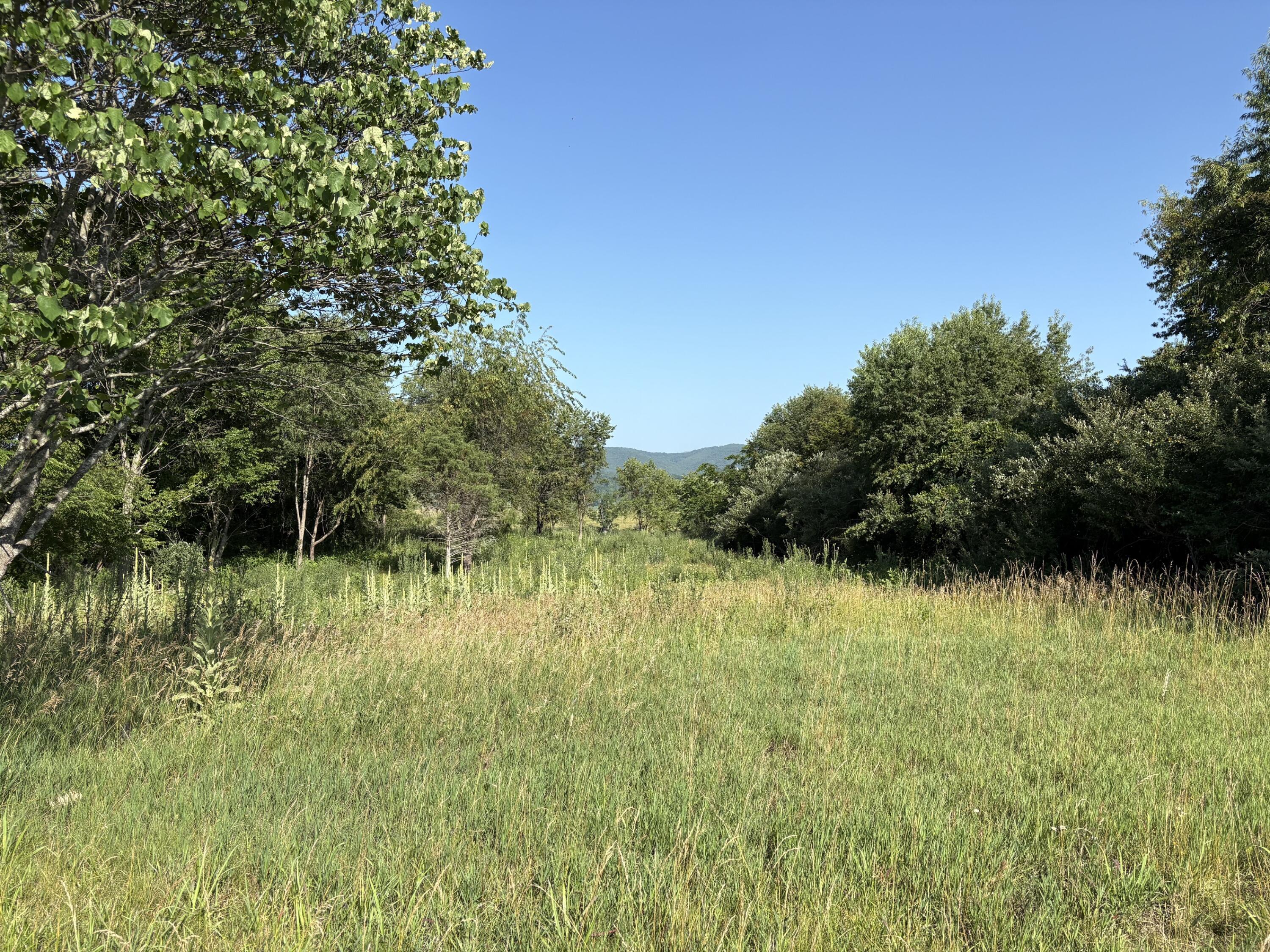 Image 2: IMG_6708