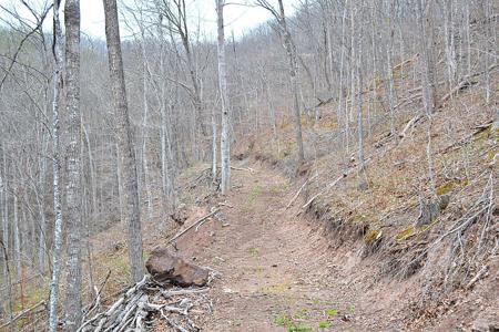 Snake Run Rd