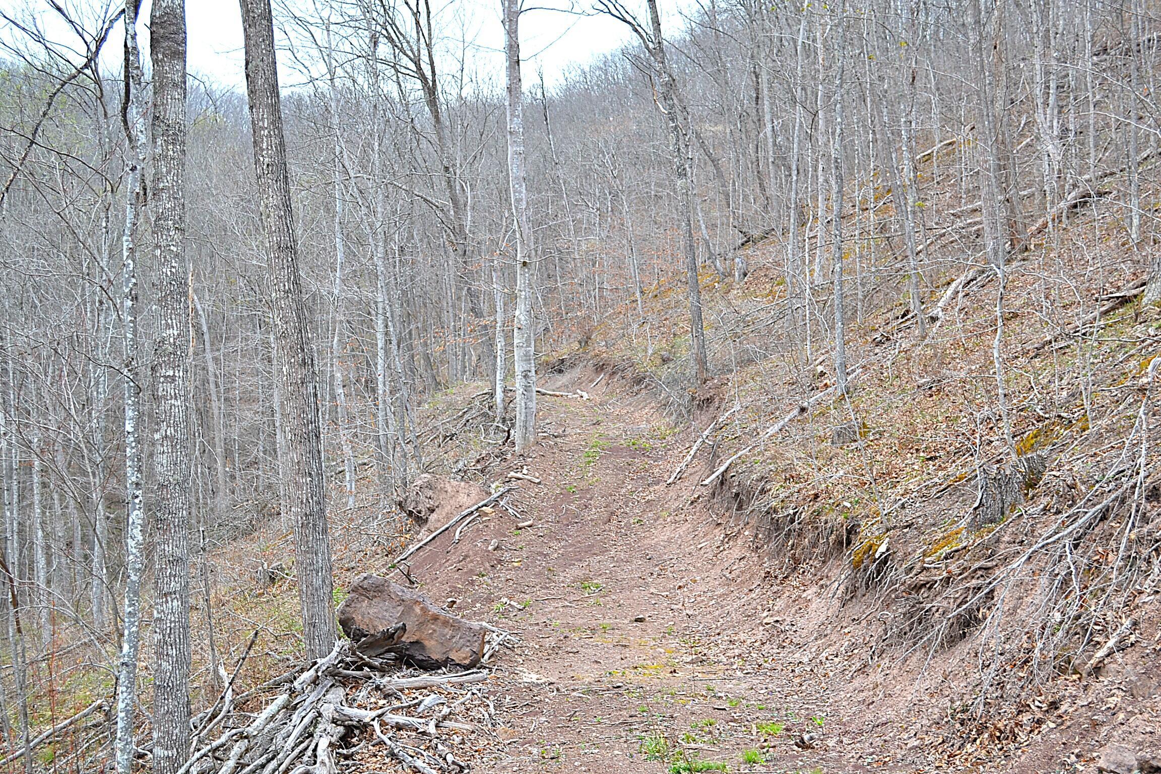 Image 1: Trail View