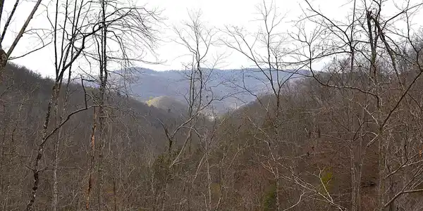 Image 2: Amazing Views From Upper Area
